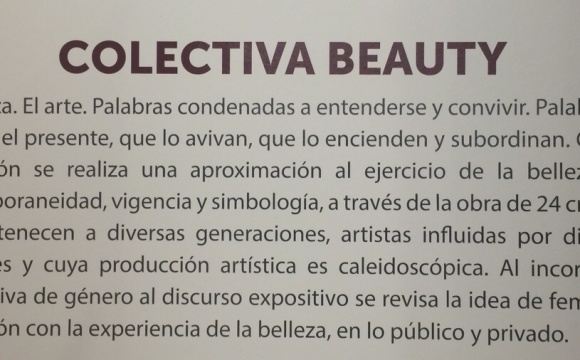 'Beauty' opening party at MAD. Antequera